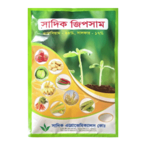 সাদিক জিপসাম