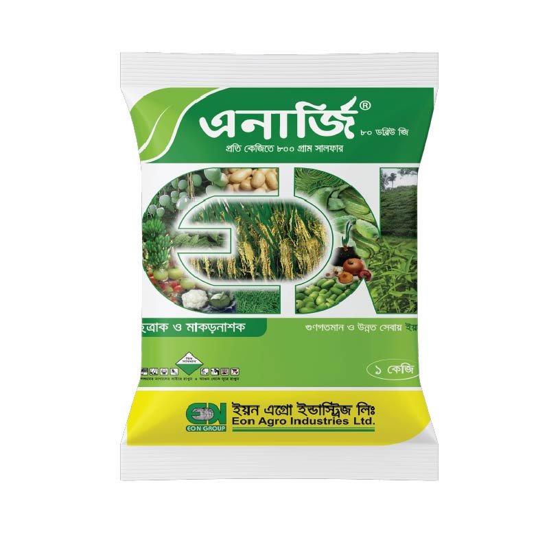 এনার্জি ৮০ ডব্লিউজি