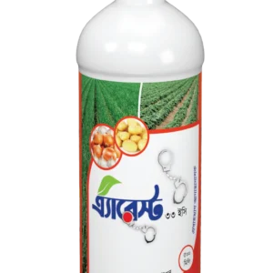 এ্যারেস্ট ৩৩ ইসি