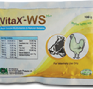 ভিটাএক্স ডব্লিউ এস ১০০ গ্রাম