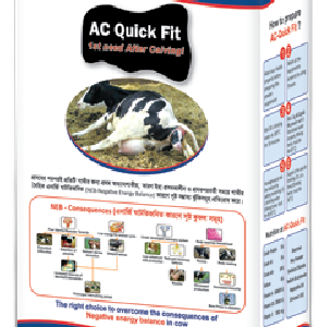এসি কুইক ফিট পাউডার ১ কেজি