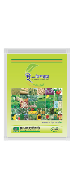 ই-জিপসাম