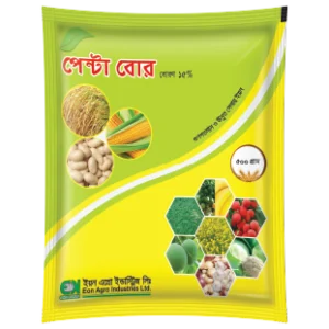 পেন্টা বোর দেস্টা ৫০০ গ্রাম