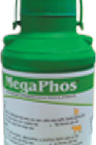 মেগাফস সাসপেনশন