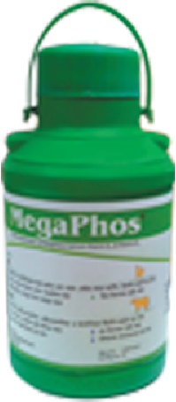 মেগাফস সাসপেনশন