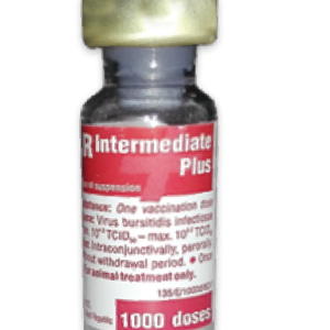 অরনিবার ইন্টারমেডিয়েট প্লাস