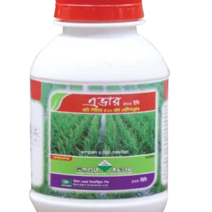 এভার ৫০০ ইসি