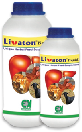 লিভাটন লিকুইড