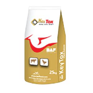 কিটক্স ২৫ কেজি