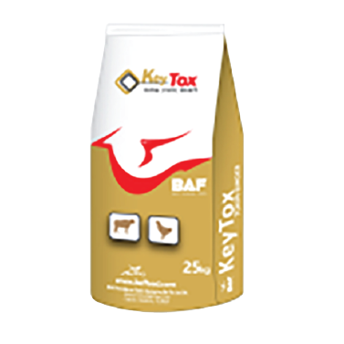 কিটক্স ২৫ কেজি