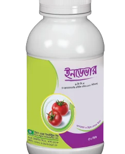 ইনডেভার