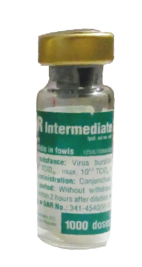 অরনিবার ইন্টারমেডিয়েট