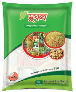 মুঘল ১ কেজি