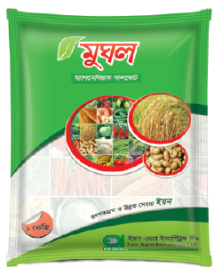 মুঘল ১ কেজি