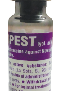 অরনিপেস্ট