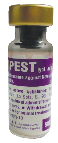 অরনিপেস্ট