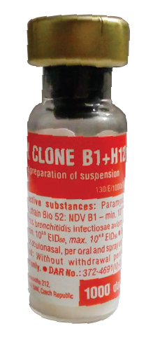 অরনিমিক্স ক্লোন 1000 D-1-Pcs