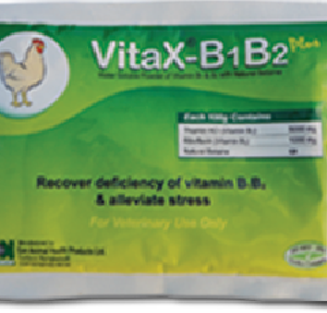 ভিটাএক্স-কিবিহ ১০০ গ্রাম