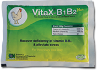 ভিটাএক্স-কিবিহ ১০০ গ্রাম